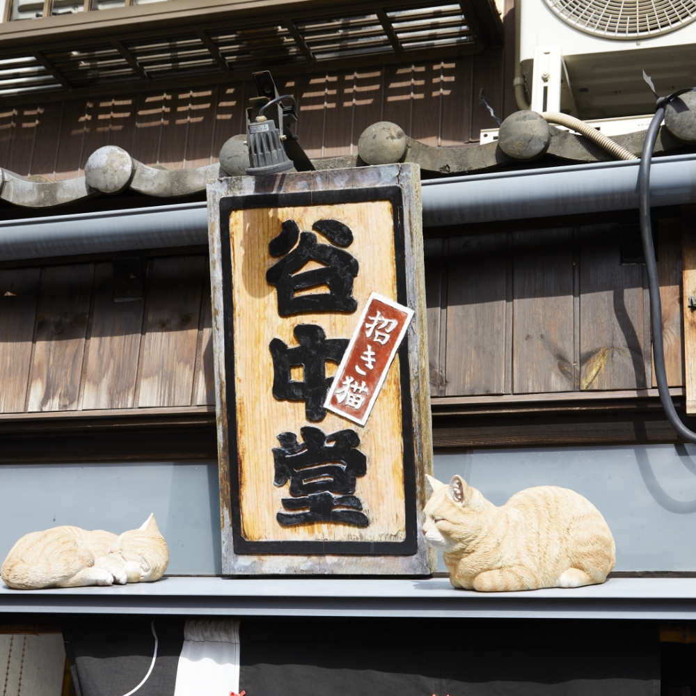 招き猫 谷中堂