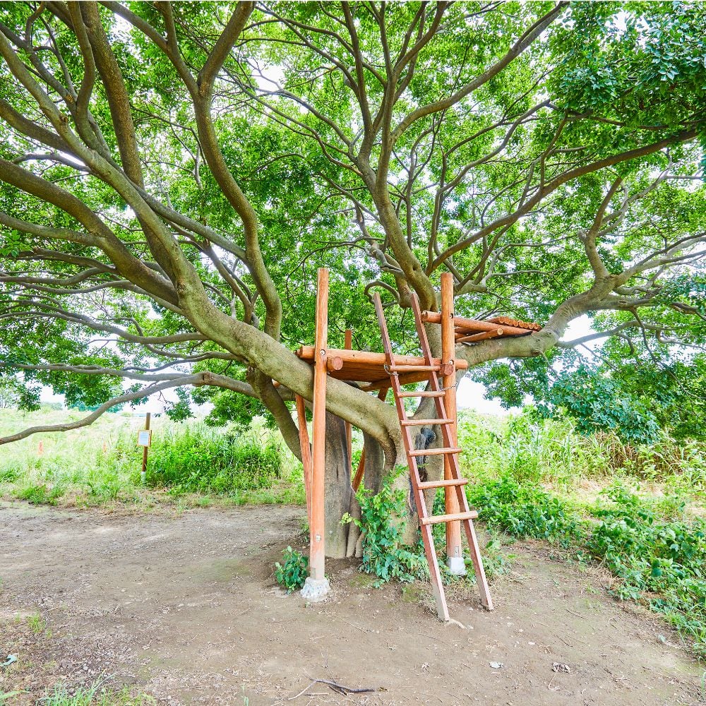 きぬたまあそび村