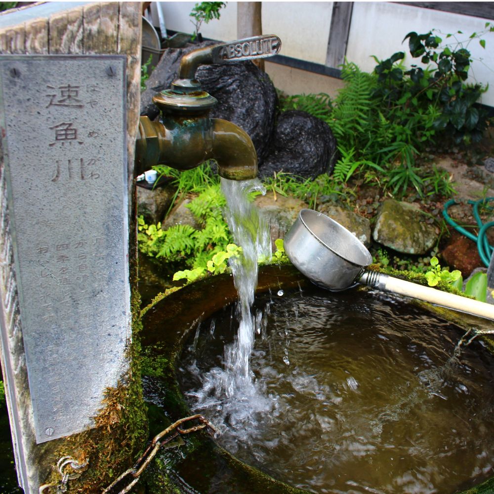 茶房速魚川