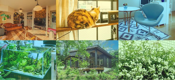 10周年スペシャル企画