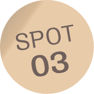SPOT03