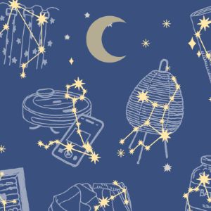 ぷりあでぃす玲奈が占う