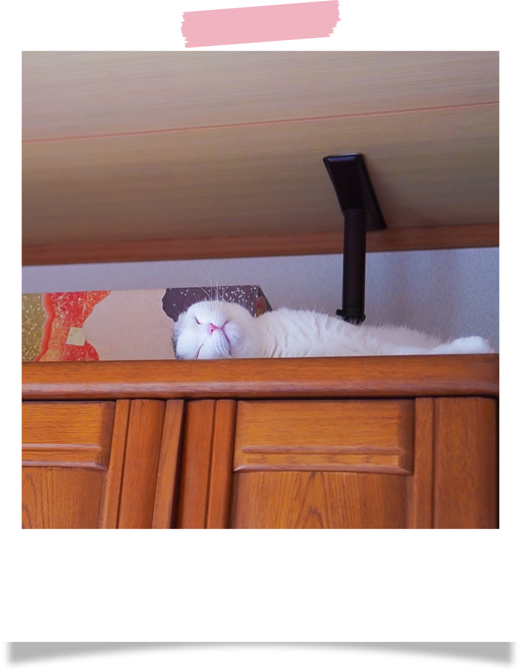 お気に入りスペース：タンスの上