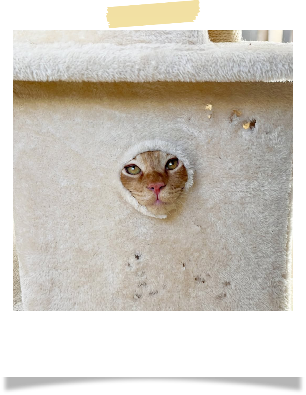 お気に入りスペース：○○