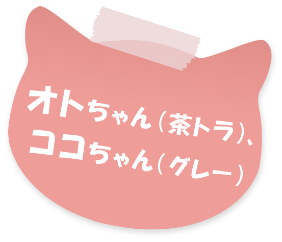 オトちゃん、ココちゃん
