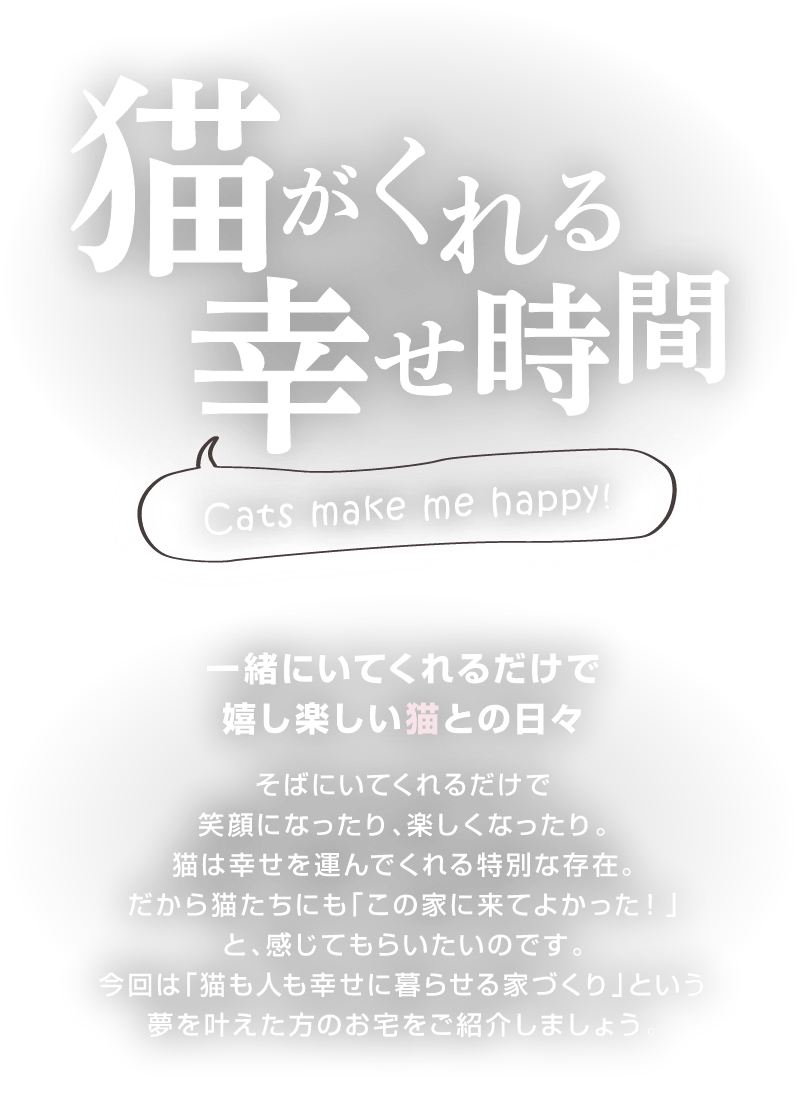 猫と快適に、幸せに暮らす2つのお部屋を紹介します