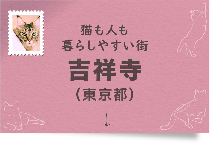 猫も人も暮らしやすい街 吉祥寺（東京都）