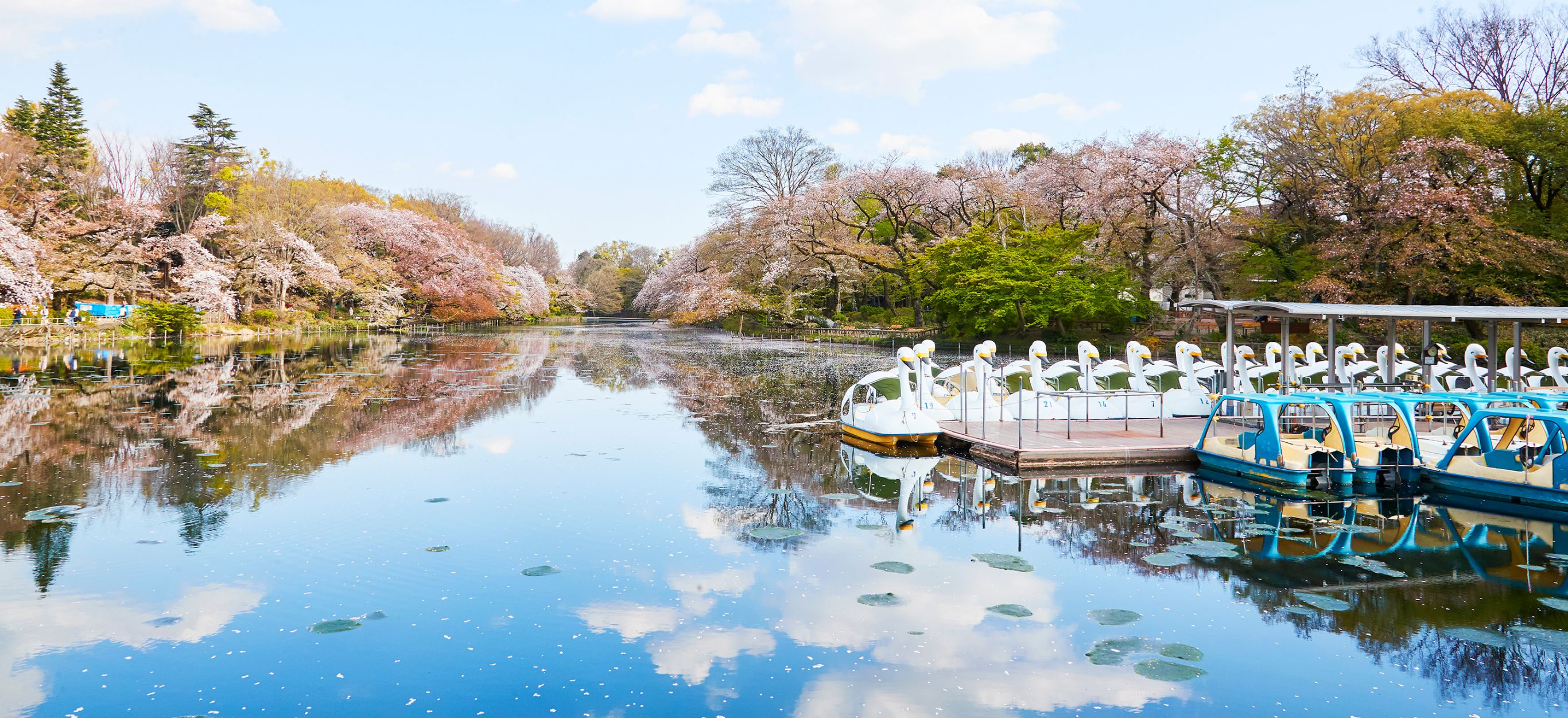 猫も人も暮らしやすい街 吉祥寺（東京都）