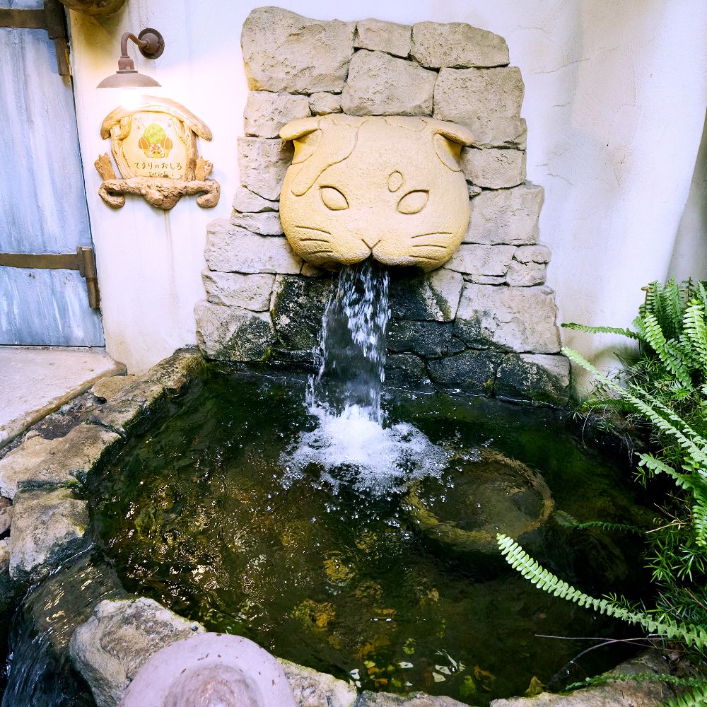 吉祥寺プティット村