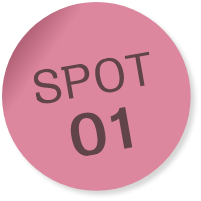 SPOT01