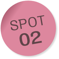 SPOT02