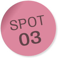 SPOT03