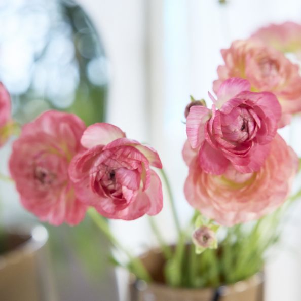 Special Interview 大友花恋