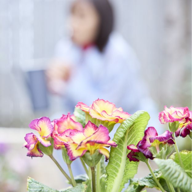 Special Interview 大友花恋