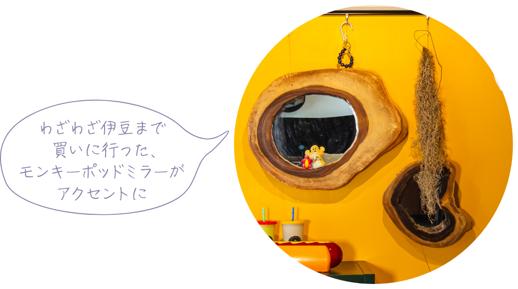 わざわざ伊豆まで買いに行った、モンキーポッドミラーがアクセントに