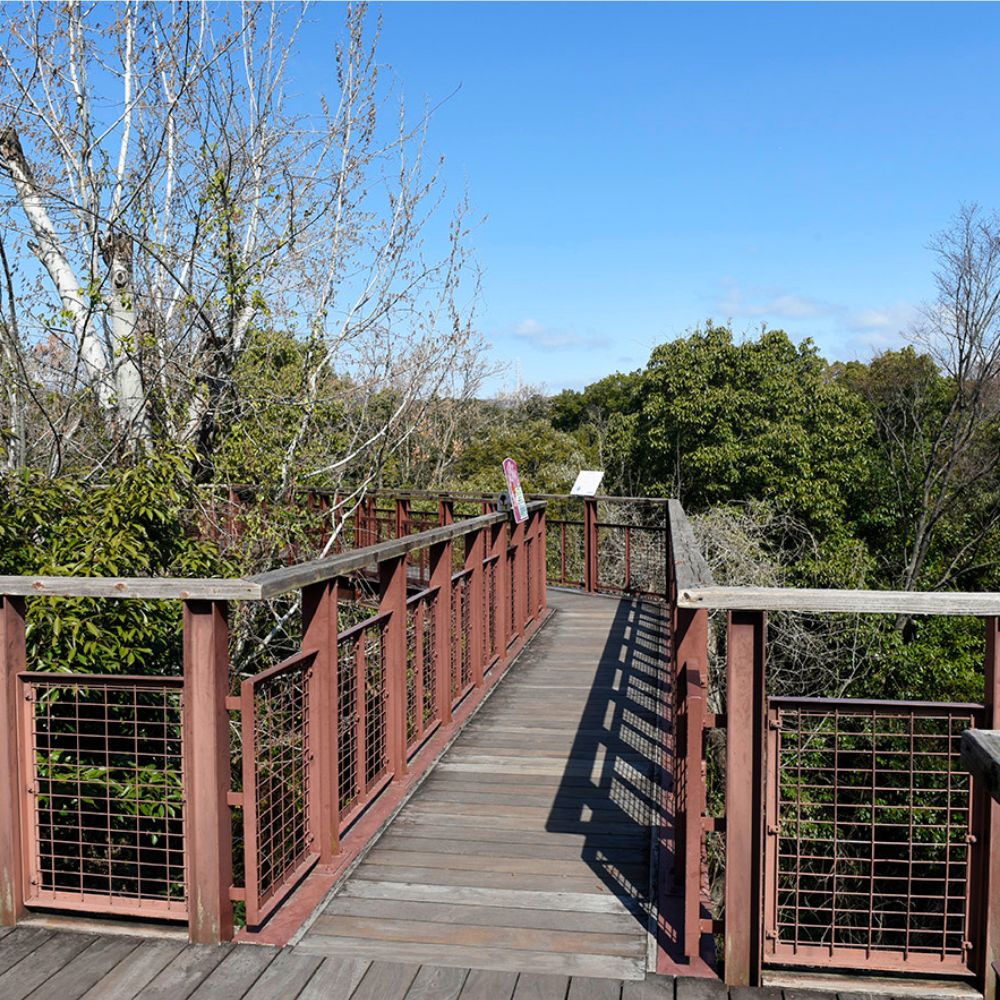 万博記念公園