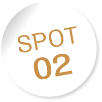 SPOT02