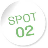 SPOT02