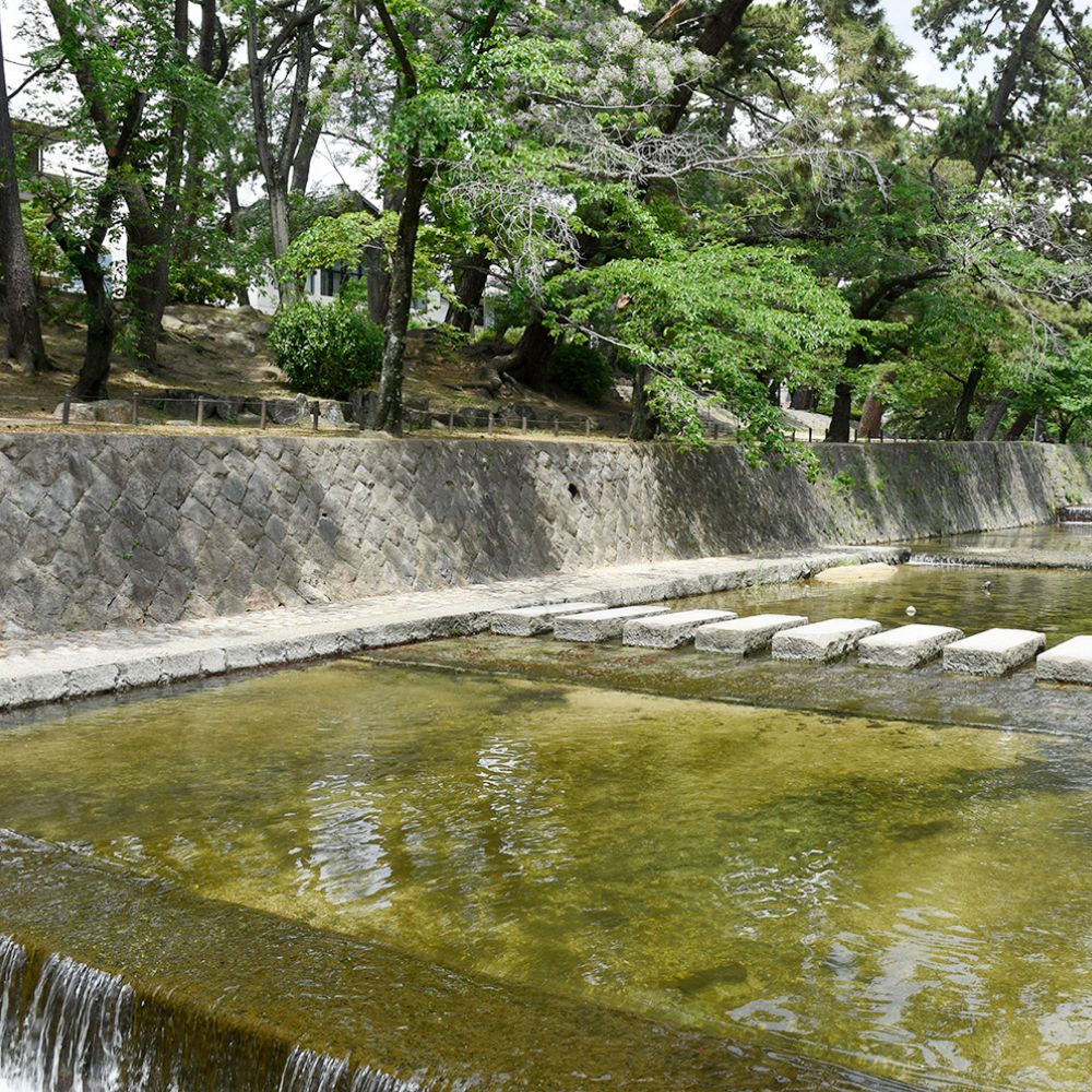 夙川河川敷緑地