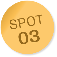 SPOT03