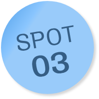 SPOT03