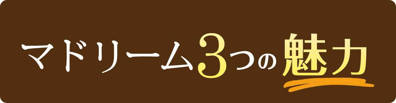 マドリーム3つの魅力