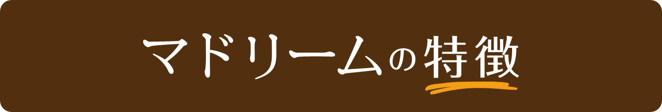 マドリームの特徴