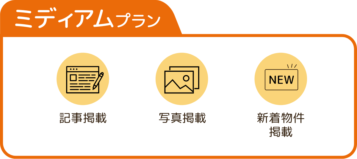 ミディアムプラン
