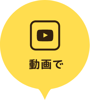 動画で