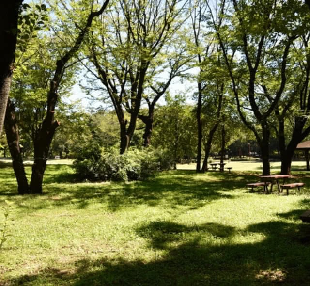 大きな公園が豊富