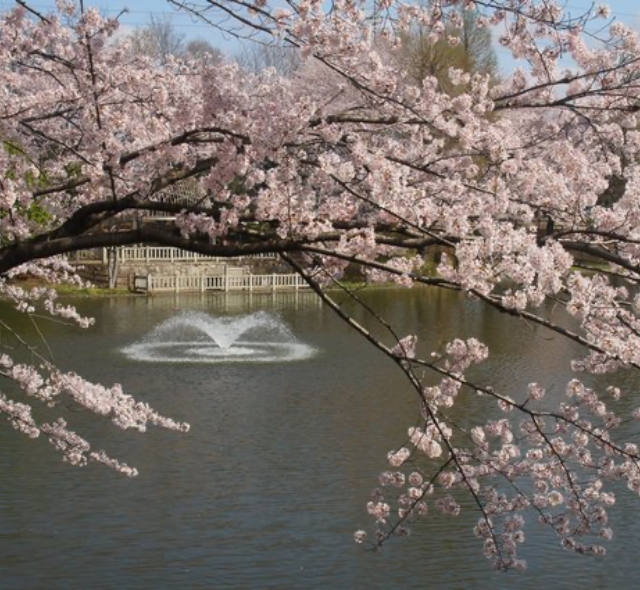 御伊勢塚公園