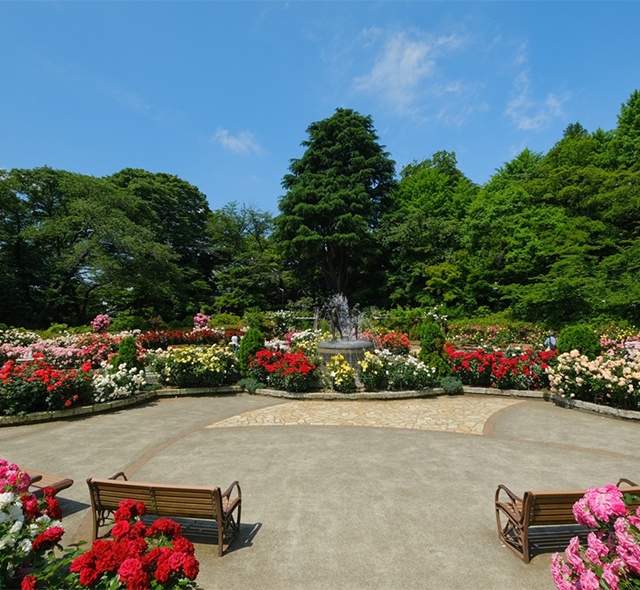 大型公園が豊富