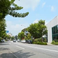 ワイズ・ホーム
