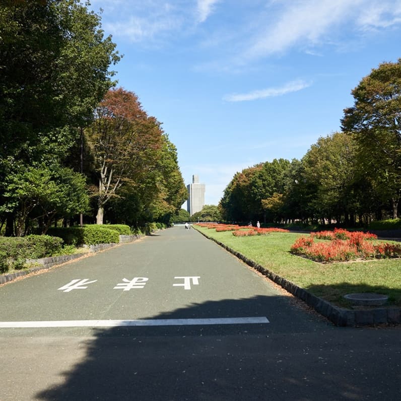 所沢市