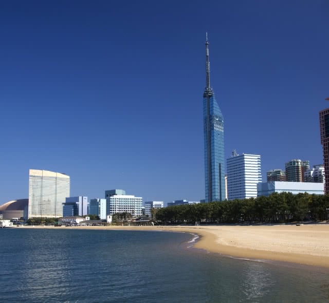 自然と近接