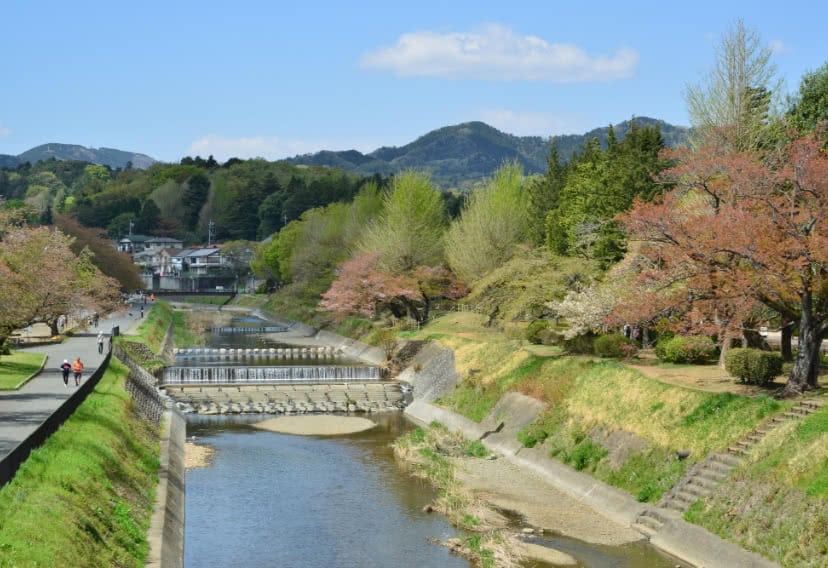 広大で自然あふれる魅力的な公園が多い