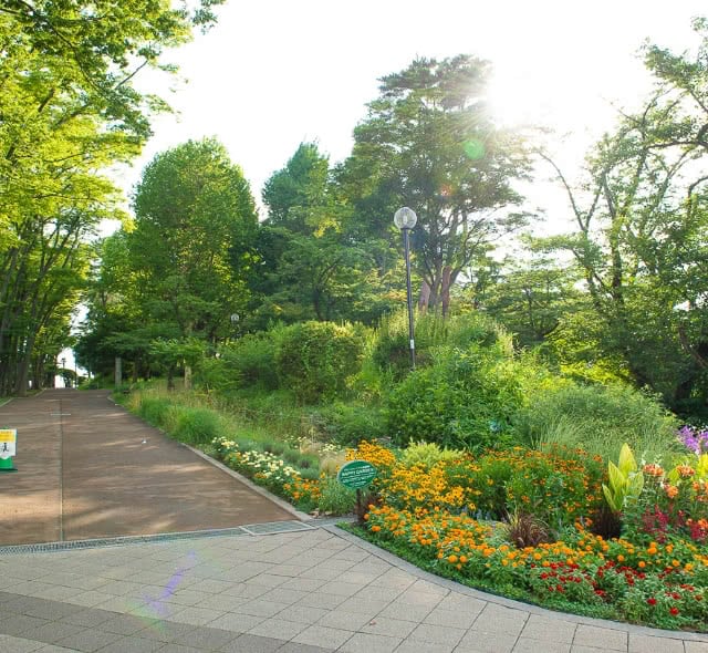 富士森公園