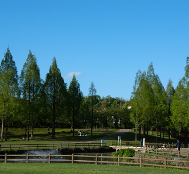大規模な公園