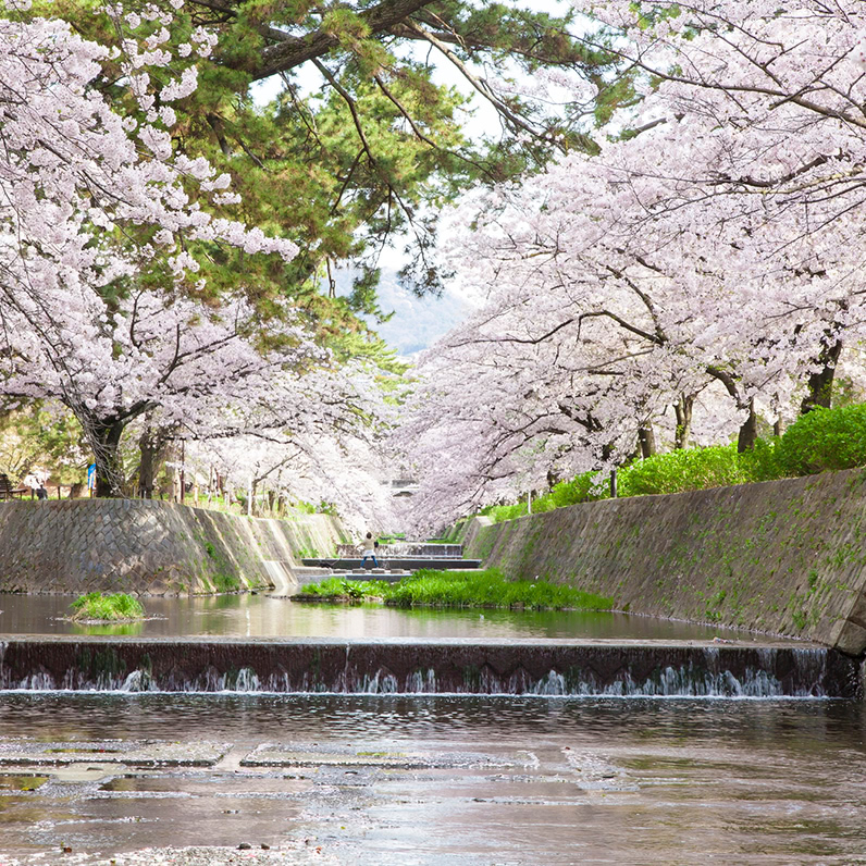 西宮市・芦屋市