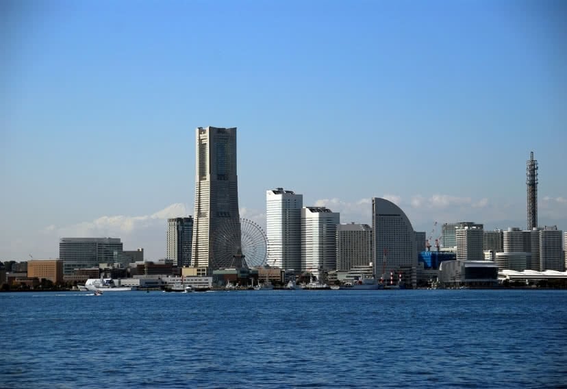 エリア情報収集は地域密着型の会社で