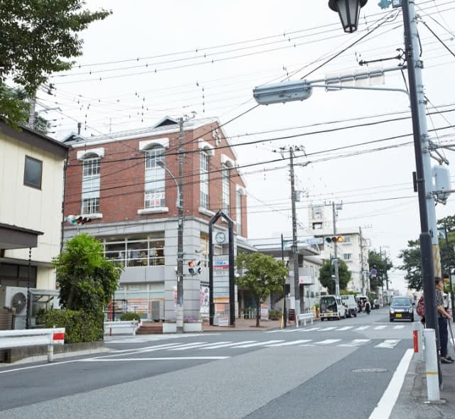 マロニエ通り