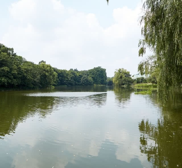 都立石神井公園