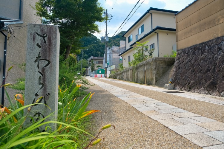 しっとりとしたムードが漂う「さわらびの道」