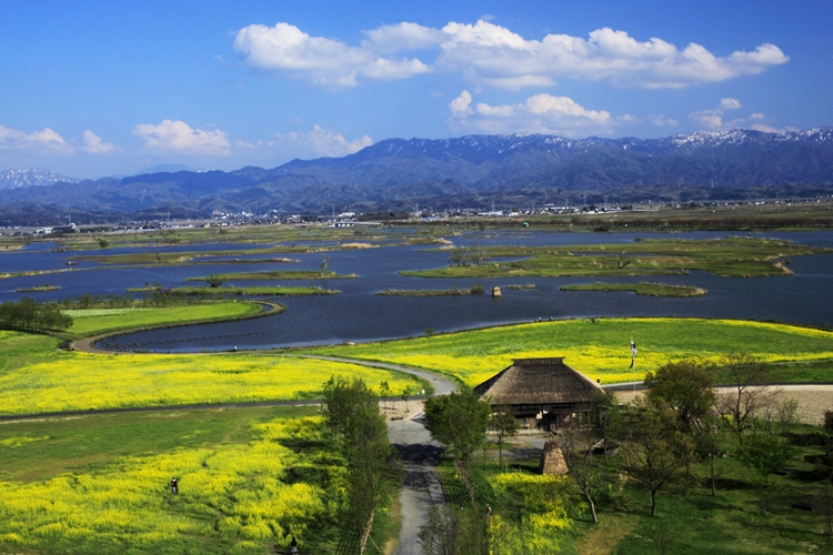 水の公園 福島潟
©新潟観光コンベンション協会