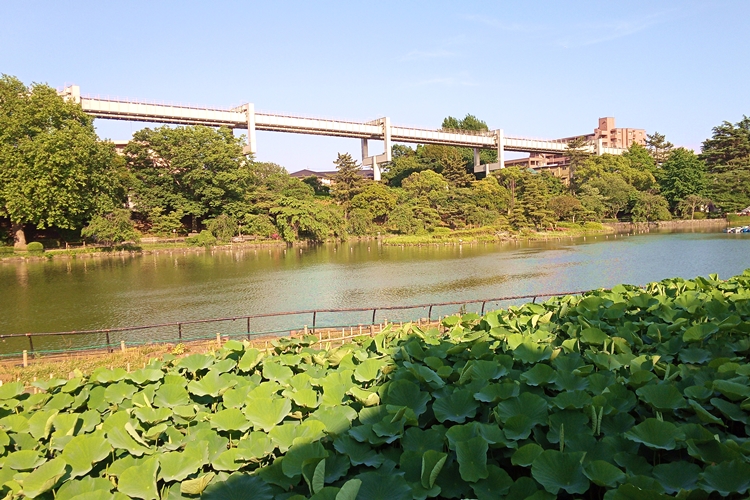 千葉公園