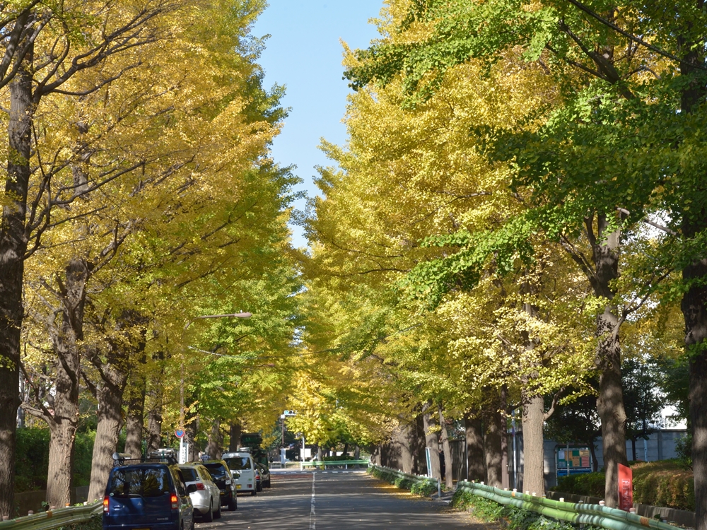 おしゃれなショップやレストランが集まる洗練された街・目黒区の住みやすさや治安を解説！