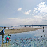 水に親しむ公園が集まる潤いの街・江戸川区の魅力は？