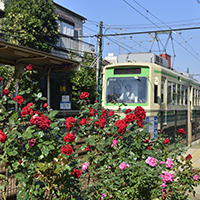 下町情緒と便利さが共存。東京都荒川区の住みやすさと治安