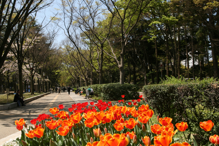 靱公園／写真提供：（公財）大阪観光局