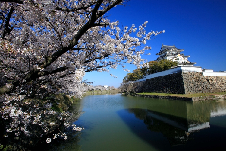 写真提供：岸和田市